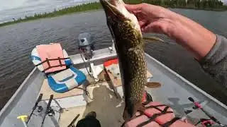 Gangler's North Seal Manitoba! Days 3 And 4!
