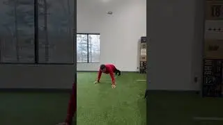 Push Up Walk Out - Trunk Stability Push-Up Corrective
