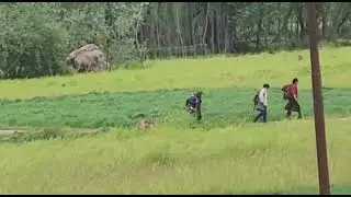 Shahrukh khan Shooting in panzgam pulwama kashmir || Dunki Movie shooting