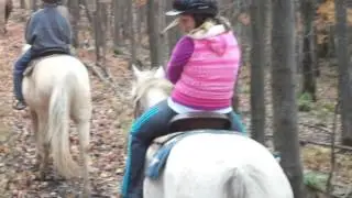 Harrison County 4H Gets You MOVING!