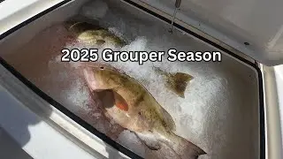 The Best Grouper Fishing in Florida 🎣 