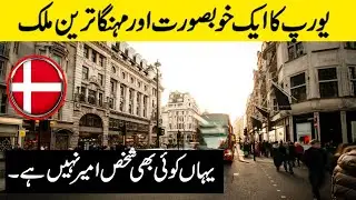Amazing And interesting facts about denmark|Surprising facts about Denmark|Exclusive Amazing Facts