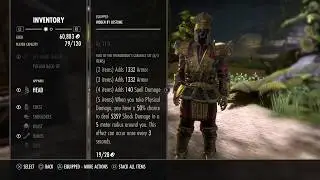 Elder Scrolls Online Thunderbug Armour Set