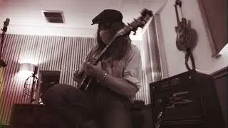 BLACK VOLT AMPLIFICATION LIVE 