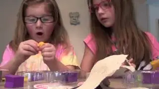 Jillian and Gabby Shopkin Review 20150117