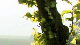 Sealt Compilation 2012 [S10_Trailer]