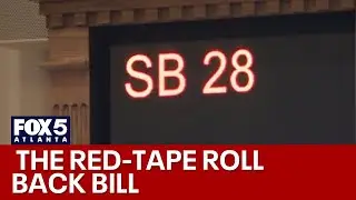 DOGE 2.0 in Georgia? | FOX 5 News