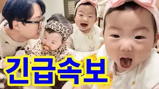 [충격] 역대급 먹방 신동 탄생! 이용식 손녀,생후 6개월에 유튜버 데뷔?! 첫 먹방에 조회수 폭발! 엄마 손맛에 취해버린 역대급 짤 생성...전 세계 이모 삼촌들 심장 폭행 중!