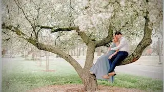 'NEATH THE OLD DOGWOOD TREES 