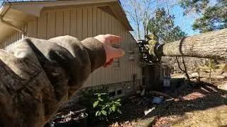 Tree Removal in Huntsville after a storm