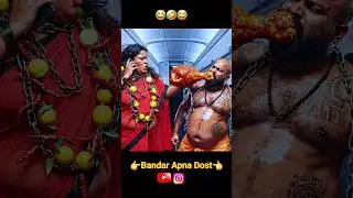 Tuntun Mausi Plane mein Chicken leg piece bechne aya 🤣🤣 Funny Monkey video #shorts #aimonkey #aivlog