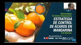 Estrategia de control de &aacute;caros en mandarina | Agro Bayer Per&uacute;