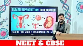 BASICS OF HUMAN 👨&zwj;👩&zwj;👧&zwj;👦 REPRODUCTION🤱 class 12 and 10