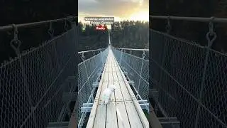 Geierlay Suspension Bridge #rocky #2025