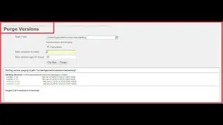 Version Purging in AEM