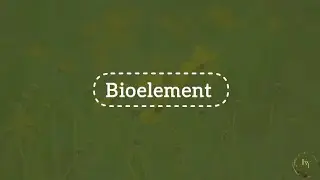 What are bioelements?