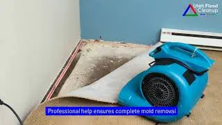 Protect Your Home from Water Damage and Mold