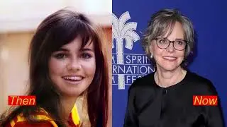 50 Hollywood Stars Then and Now: Incredible Transformations Over Time