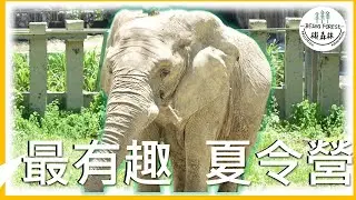 4K HD (台灣最豐富的夏令營) 科學老師 變成 廚師拉