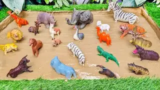 Forest Animals Adventure for Kids and River Animals Stuck in Mud | Fun Learning Activities