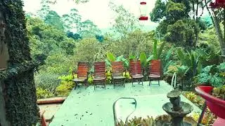 VENTA FINCA ALTO DAPA