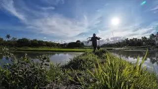 Attend OA PGS Summit | Plant Chinese Malunggay