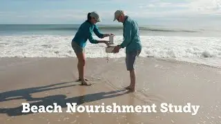 Research Highlight: Long-term Impacts of Beach Nourishment on Shoreline Ecosystems