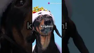 Dog Claims to Be Reincarnated King! 👑