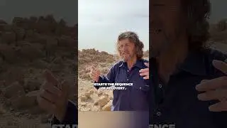 В абсолютной пустыне. Никакой помощи. Никакого орошения &mdash; лишь одно дерево-первопроходец, проклад...