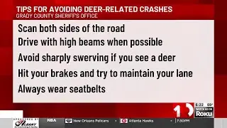 3 deer-related incidents reported in 24 hours in Grady County