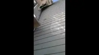 180 Carl exterior paint peeling part 04 / 180 Carl for sale