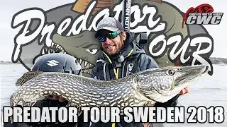 CWC - Predator Tour Sweden 2018