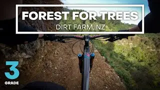THE SCENIC WAY - Forest For Trees Mountain Bike Trail (Grade 3 - Intermediate) | Dirt Farm, Manakau