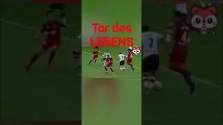 Tor des Jahrhunderts #shorts