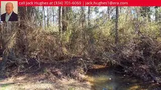 0 Johnnie Ingram Rd, Webb, AL 36376 - MLS #160694