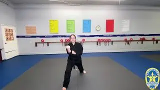 Hollywood PAL: Martial Arts Toi-Gye