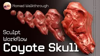 Nomad Sculpt Workflow / Coyote Skull