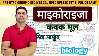 माइकोराइजा|कवक मूल|mycorrhiza|vam mycorrhiza in hindi|जैव उर्वरक माइकोराइजा|biology by gk with azim