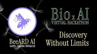 Autonomous Hypothesis Generation with Knowledge Graphs | BeeARD AI