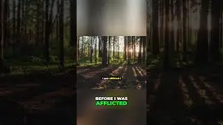 Find Peace: God's Love in a Sunlit Forest Path #shorts