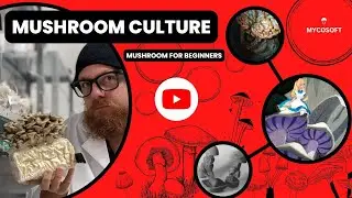 Mushroom Culture
