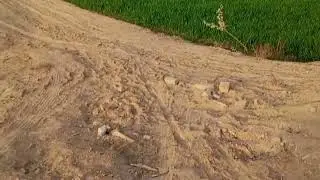 AJ ki tafri