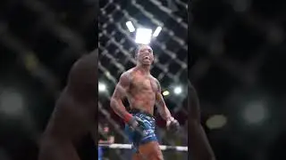 These KNOCKOUTS hit different from Octagon-side! 😱 #UFC #UFCIndia