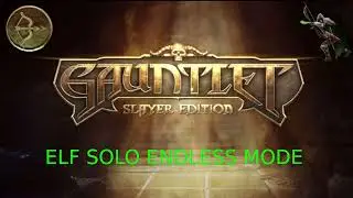 Gauntlet Slayer Edition | Elf Solo Endless mode