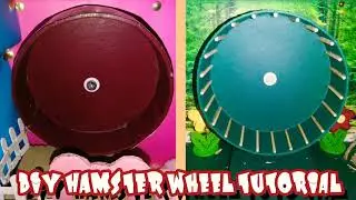 DIY Hamster Wheel Tutorial | Chubby Hamhams