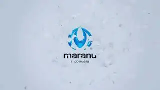 Altraaznusa Developing Valuable Brand Design MARANU INDONESIA 8