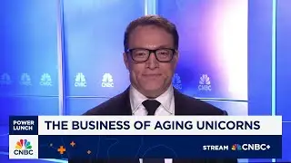 Median age of companies going public rises to 13