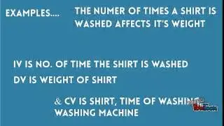 What is IV & DV
