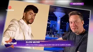 Elon Musk offered Bad Bunny money to change his name. Will he do it? - Lo Actual 11/19/25