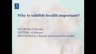 From zoos to zoonoses, a personal perspective on wildlife health, by Professor Anna Meredith